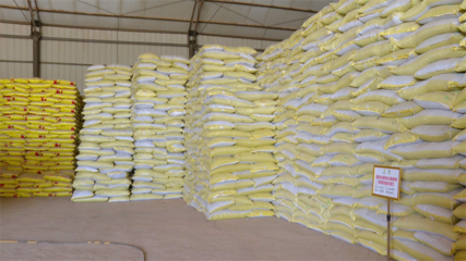 高臺農資儲備充足，春耕生產有保障——化肥銷售助力農業穩產